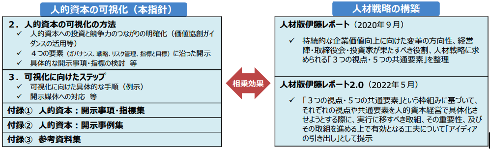 「人的資本可視化の指針」の役割